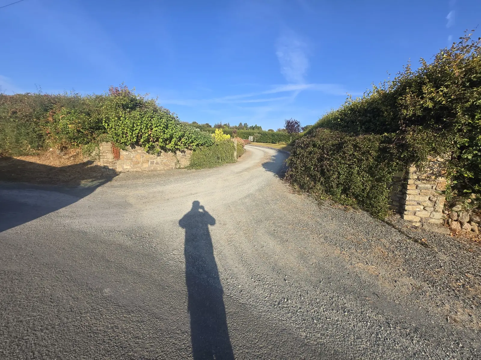 Large Tar & Chip Driveway project by Wexford Tarmac & Resin Driveways Contractors in County Wexford